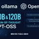 GPT-OSS and Ollama Integration - The Viral Bros